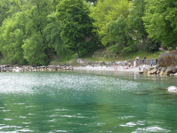 IMG_0713