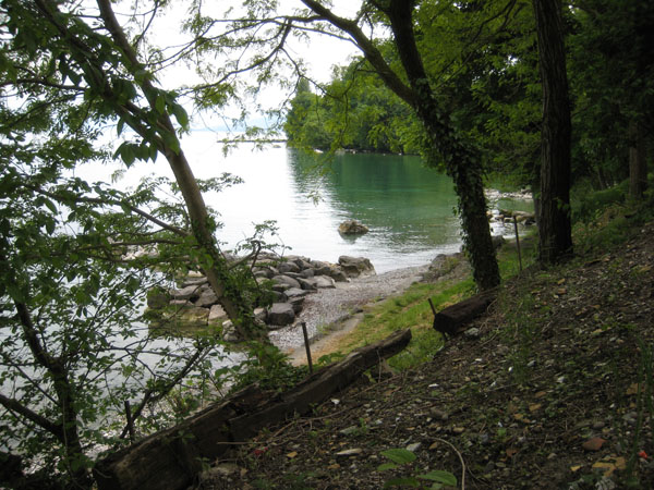 IMG_0720