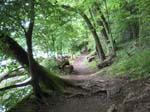 Beautiful Medieval Forest trail along Lake Geneva!